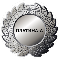 Семенова Анастасия Александровна