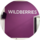  Wildberries (   )