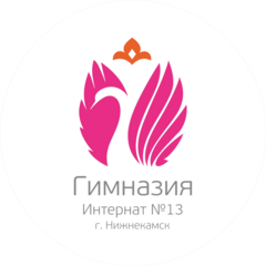 МБОУ Гимназия-Интернат №13 НМР РТ