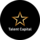 Talent Capital