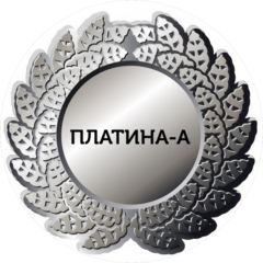 ЧОО Платина-А