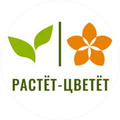 Растет Цветет