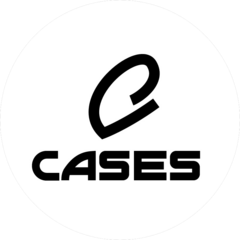 CEO CASES