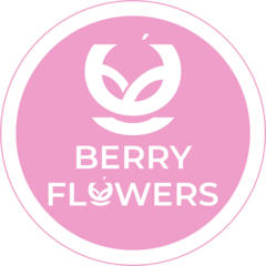 Chocoberrykokshetau