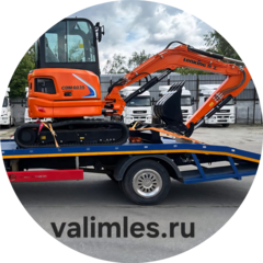 Valimles