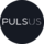 Pulsus Architects Limited Liability Company