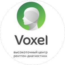 VOXEL (ООО Воксель Челны)