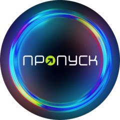 АНО социальной адаптации людей с инвалидностью Платформа развития и объединения Пропуск