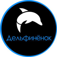 Саринова С.Ю.