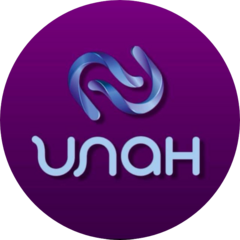 КонсультантПлюс Илан