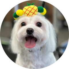 Краснолобова Ксения Васильевна