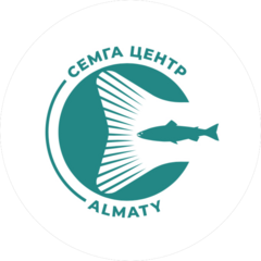 Salmon Group Kazakhstan