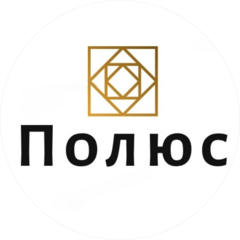 Полюс