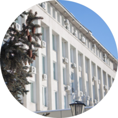 Правительство Амурской области