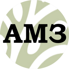 АМЗ