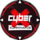CyberX (ИП Волгин Владимир Алексеевич)