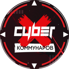 CyberX (ИП Волгин Владимир Алексеевич)