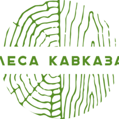 Леса Кавказа