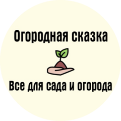 Битковский Владислав Николаевич