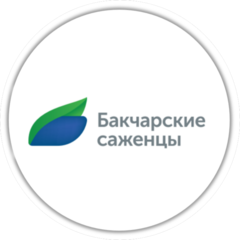 Акционерное общество Бакчарское