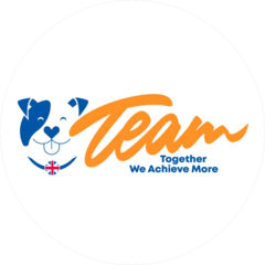 Центр иностранных языков и развивающего обучения TEAM
