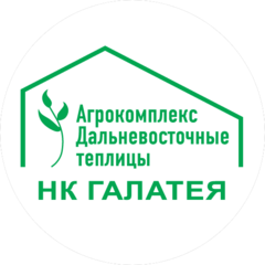 НК Галатея