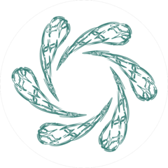 ПЛКГРУП