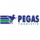 Pegas touristik (   )