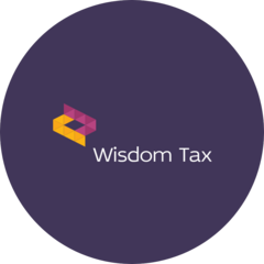 WISDOM TAX