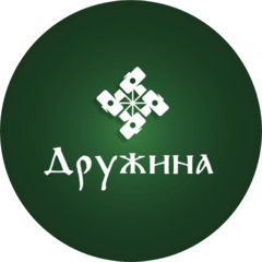 Дружина