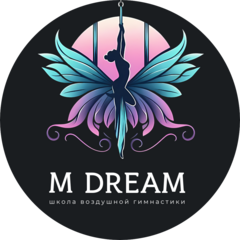 Школа воздушной гимнастики MDream