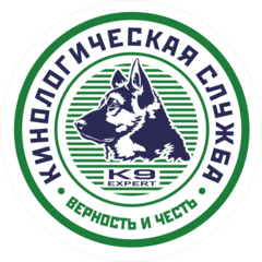 К9. эксперт
