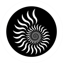 Ammonit