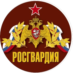 Отдел вневедомственной охраны по Сормовскому району г.Н.Новгорода - филиал ФГКУ УВО ВНГ России по Нижегородской области