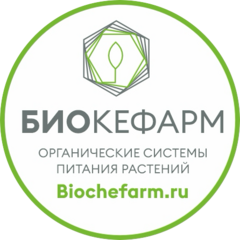 Эко Культура Рус