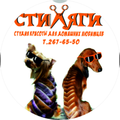 Зоосалон Стиляги