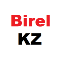 Birel KZ