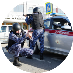 Батальон полиции Отдельный № 2 УВО по г. Ростову-на-Дону-филиала ФГКУ УВО ВНГ России по Ростовской области