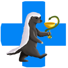 Кабинет ветеринарной медицины