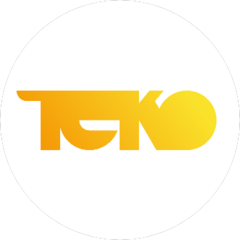 ТЕКО, Научно-производственная компания