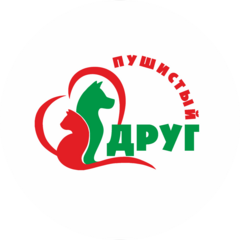 Ревкова Анастасия Алексеевна