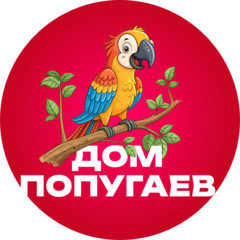 Дом Попугаев