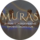    (  )
