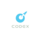 CodeX Software