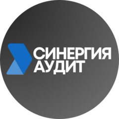 Синергия Аудит