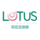 YATT Lotus foot massage