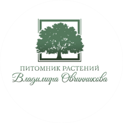 Питомник растений Владимира Овчинникова