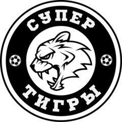 Футбольная академия СуперТигры