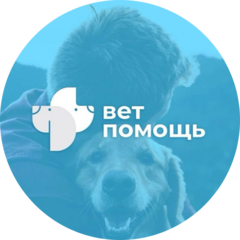 Ветпомощь клиника доктора Авилкиной