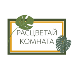 Расцветай Комната